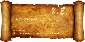 Kapronczai Erik névjegykártya